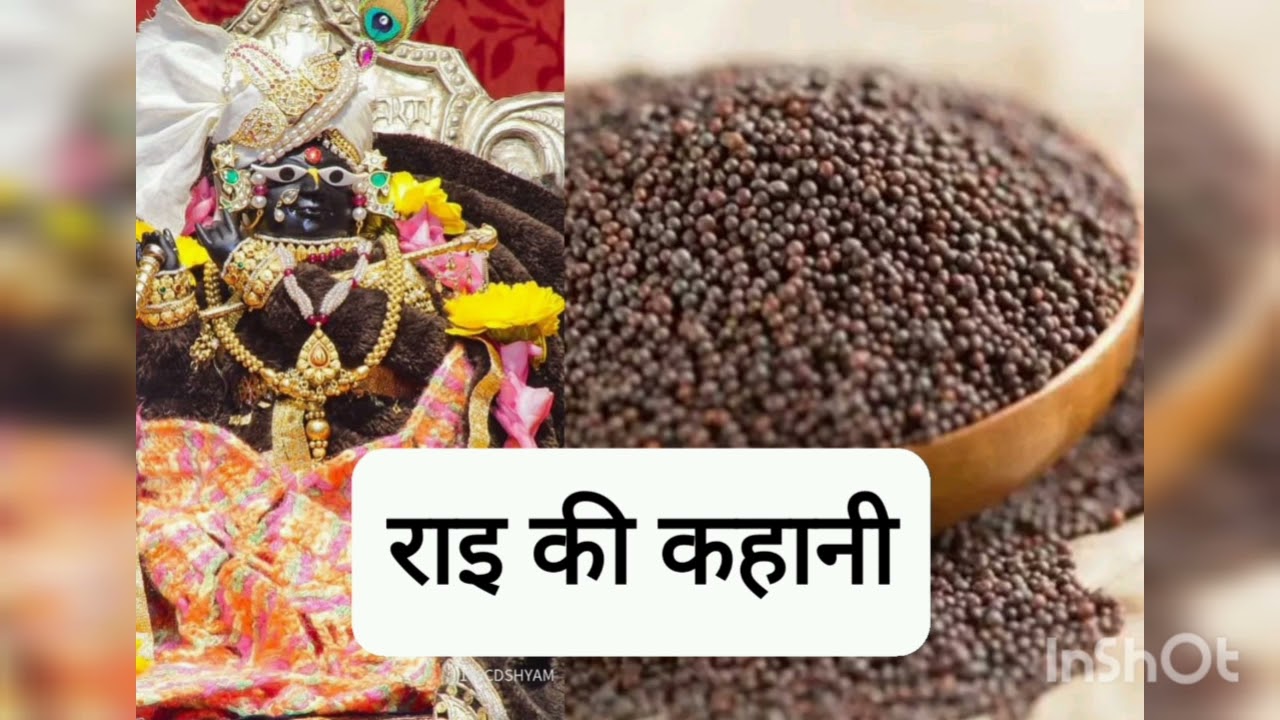 मकर संक्रांति राई की कहानी/makar sankranti rai ki kahani #मकर_संक्रांति #makarsankranti #raikahani