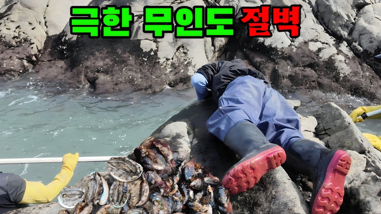 바다가 허락한 날 겨우 갈수있는 미지의 섬에서 벼락부자 됐습니다