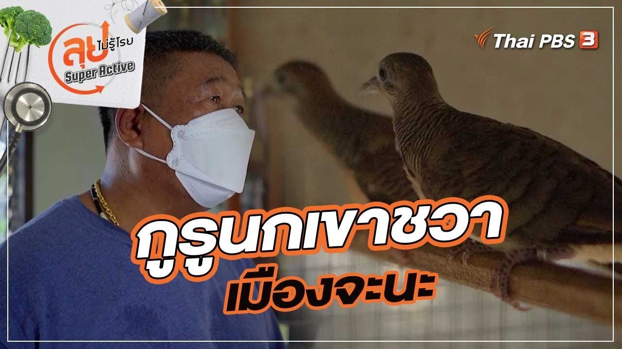 กูรูนกเขาชวาเมืองจะนะ : ลุยไม่รู้โรย Super Active