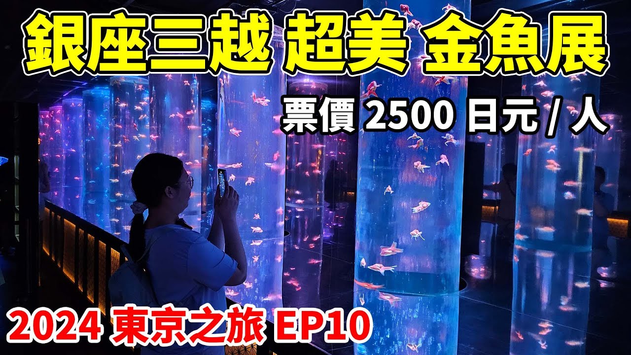 原來金魚可以這麼美，這次東京之旅最後一個行程，銀座三越金魚展！【Day6】【2024東京之旅EP10】