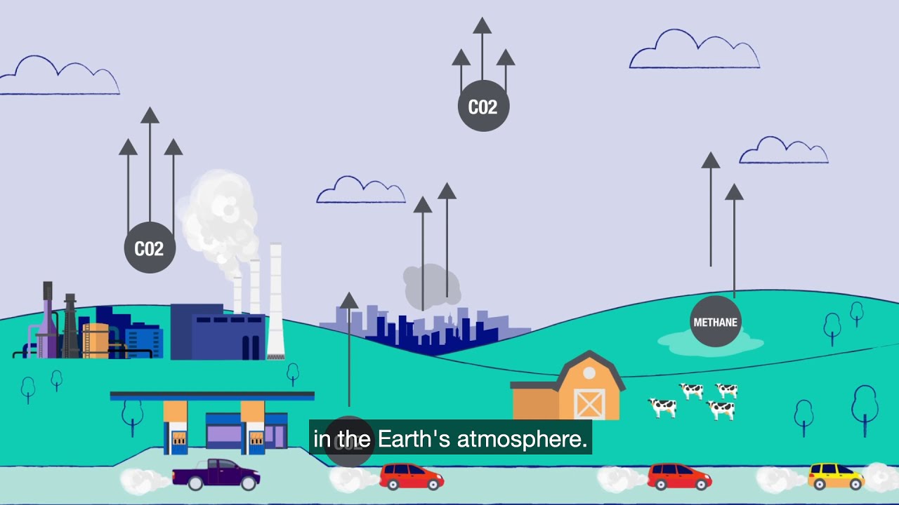 What is net zero?