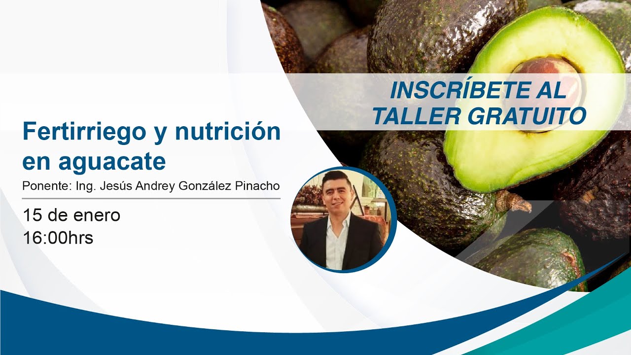 Taller Gratuito Online de Fertirriego y nutrición en aguacate.