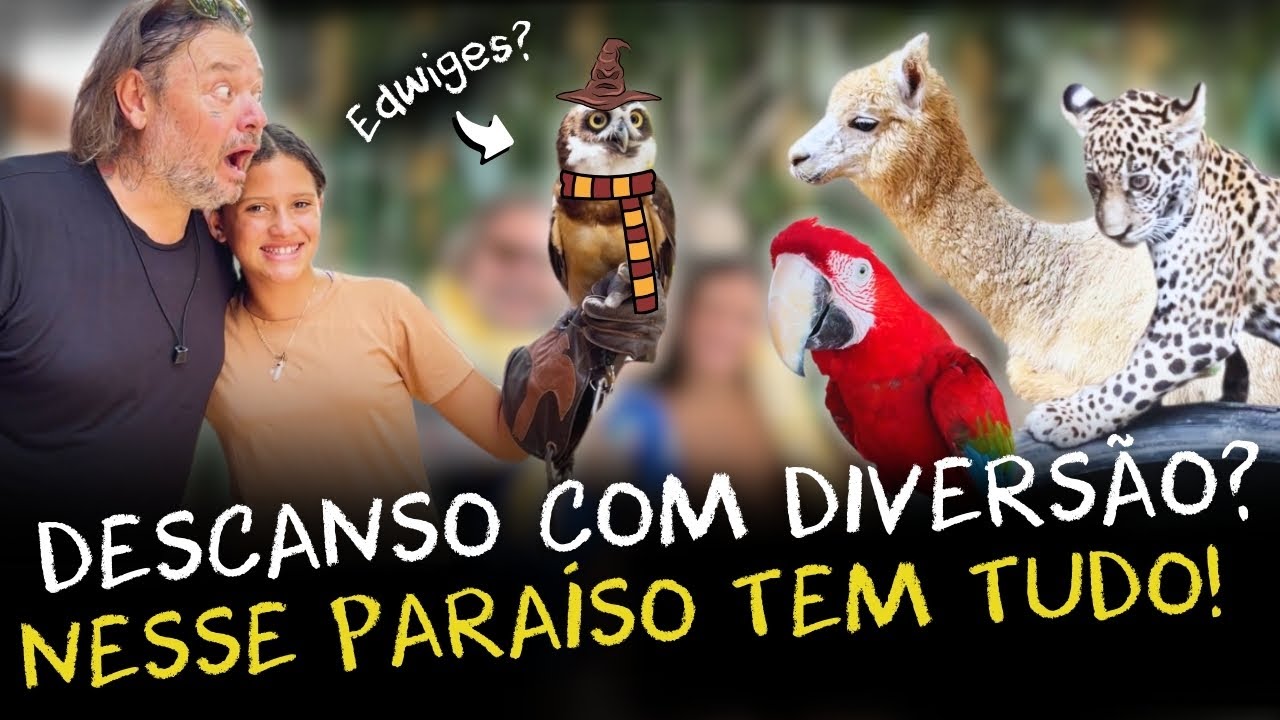 ENCONTROS M&Aacute;GICOS COM ANIMAIS SILVESTRES: CONHE&Ccedil;A AS ATRA&Ccedil;&Otilde;ES DO ECOPARK!