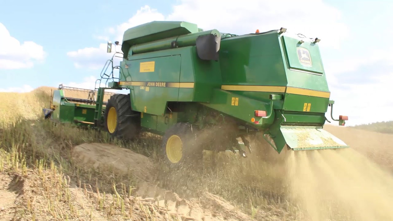 Koszenie rzepaku 2019