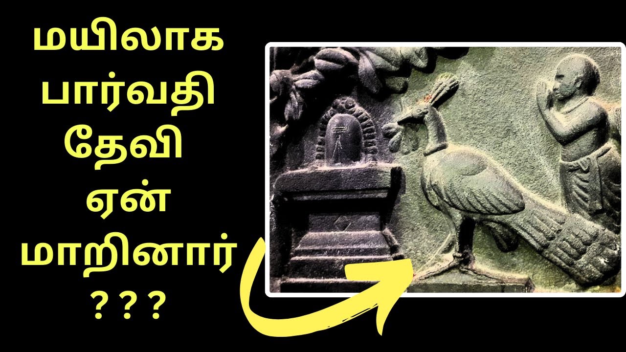 1000 years Mylapore Kapaleeshwarar temple Tour | மயிலாப்பூர் கபாலீஸ்வரர் கோவில் உலா