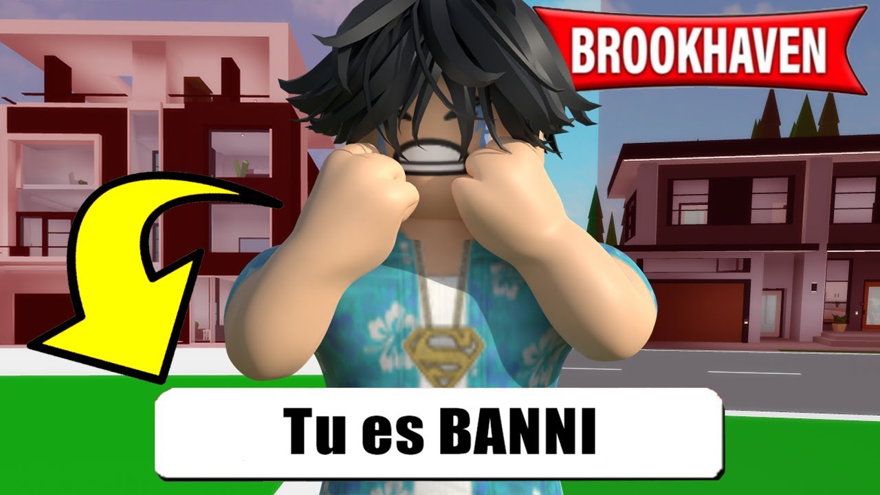 J'ai &eacute;t&eacute; BANNI de Toutes les Maisons sur BROOKHAVEN ! ROBLOX