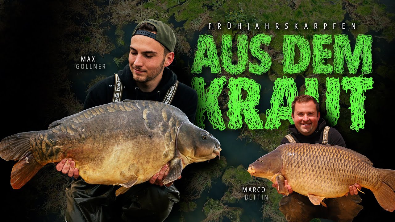 Frühjahrskarpfen aus dem Kraut | Baitlounge | Karpfenangeln | Stausee | Angeln | Boilie