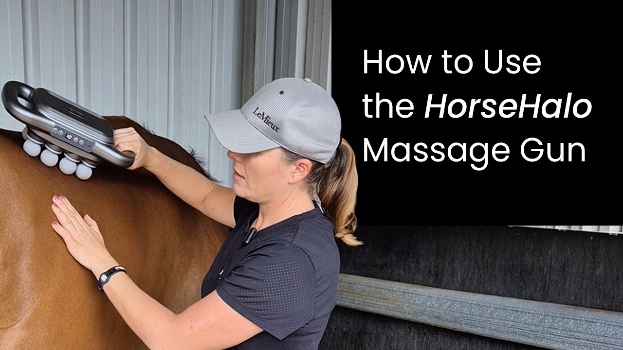 How to Use the HorseHalo Massage Gun Safely & Correctly
