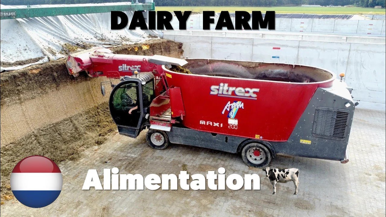 🇳🇱 PAYS BAS : Alimentation des Vaches Laitières!! 🐄⚠️