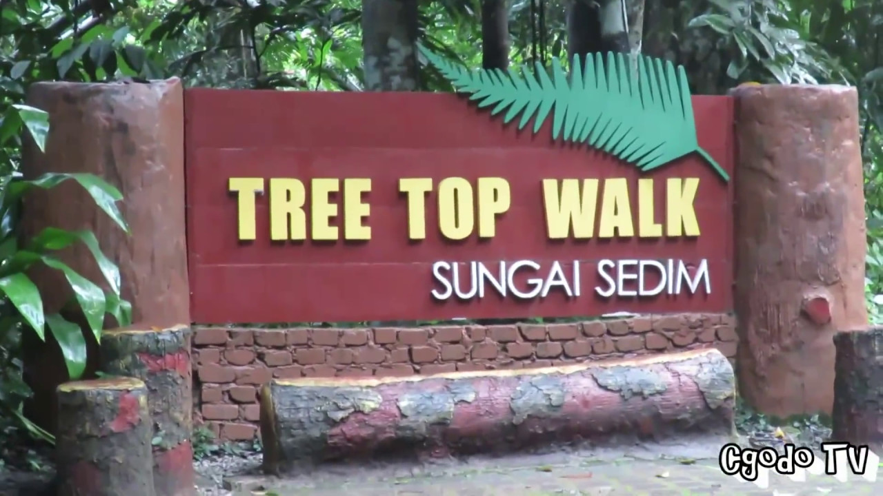 World Longest Rainforest Canopy Tree Top Walk - Sungai Sedim // Travel Malaysia