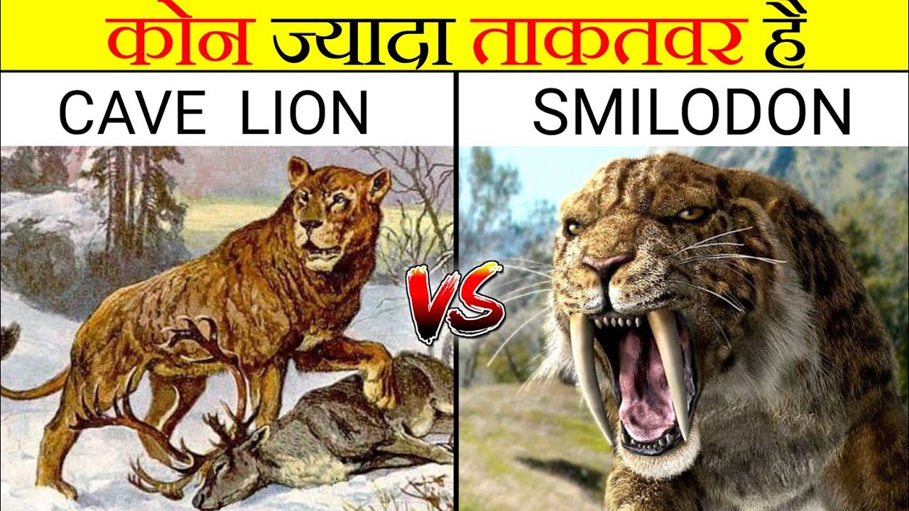 Cave Lion vs Sabertooth Tiger | कोन ज्यादा ताकतवर है | Smilodon vs Cave Lion In Hindi | Anokhe Sach