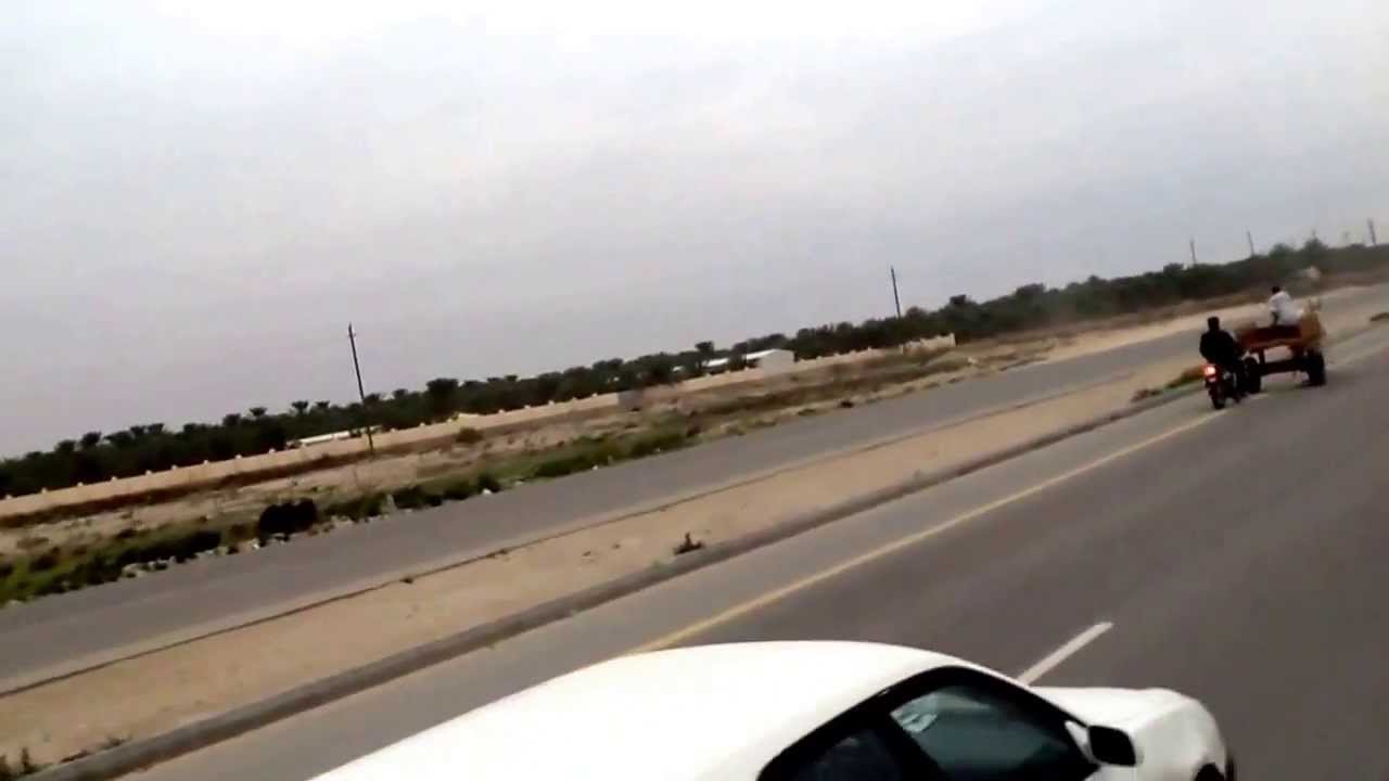 سباق حمير الثاني
