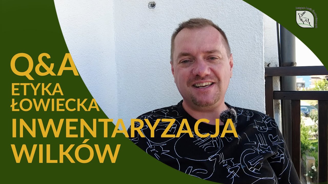 Q&A, inwentaryzacja wilków, polowania dewizowe...