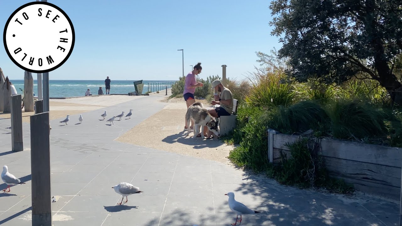4K - ROSEBUD - MELBOURNE VICTORIA, AUSTRALIA - A SUNNY WINTER DAY walk to the pier