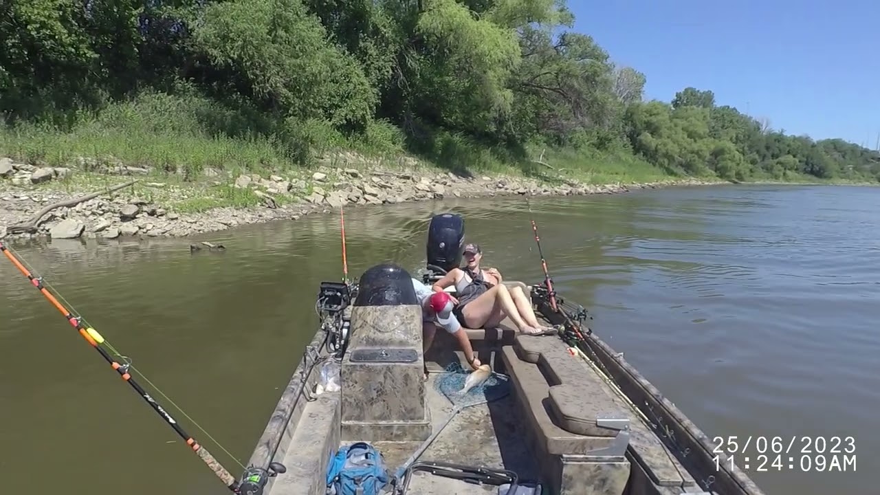 kansas river carp