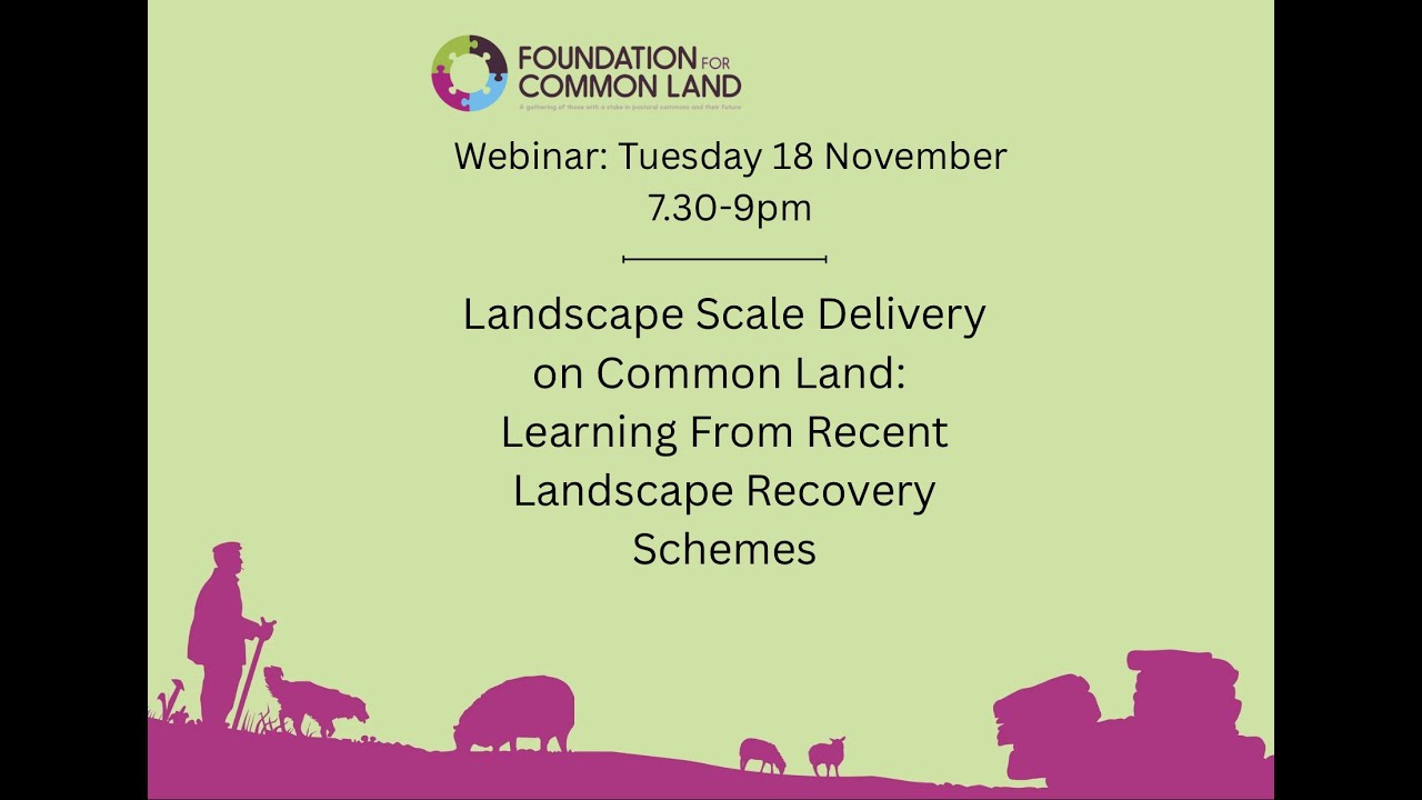 Landscape Scale Delivery on Common Land: Learning from Recent Landscape Recovery Schemes Webinar