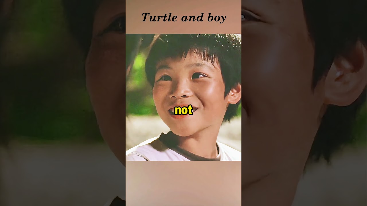 A flying turtle?#touching #funny #fantasy