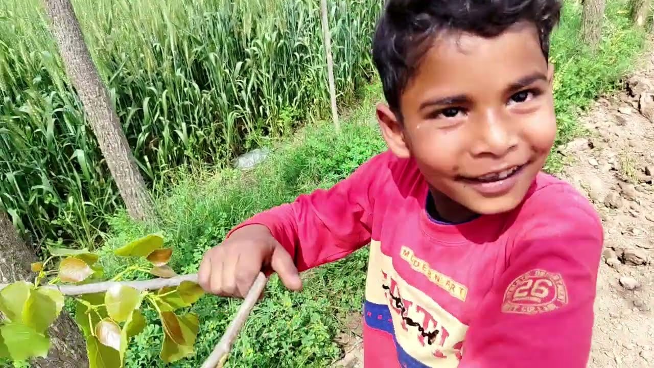 आज खेत में गन्ना बो दिया 🔥🤩