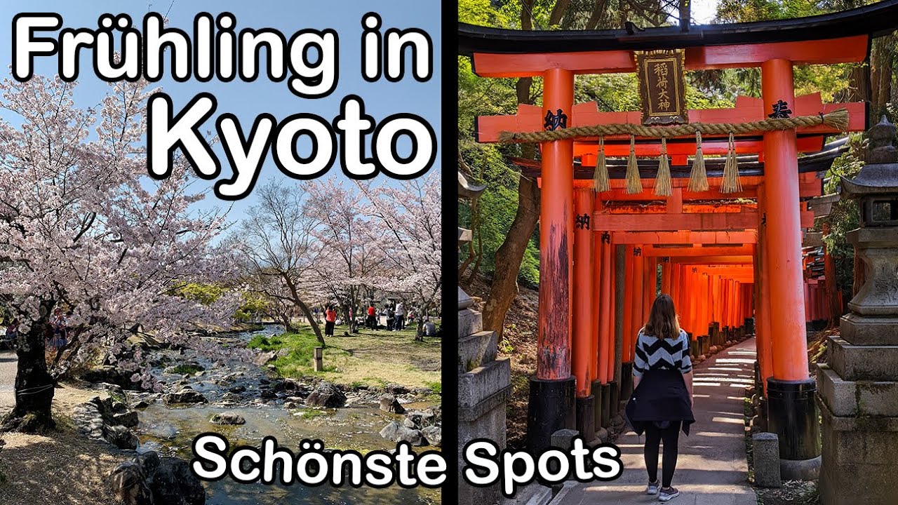 Kyoto: Stadt der Tempel & Schreine (Local Geheimtipps + Sightseeing Klassiker) - Weltreise Vlog 085