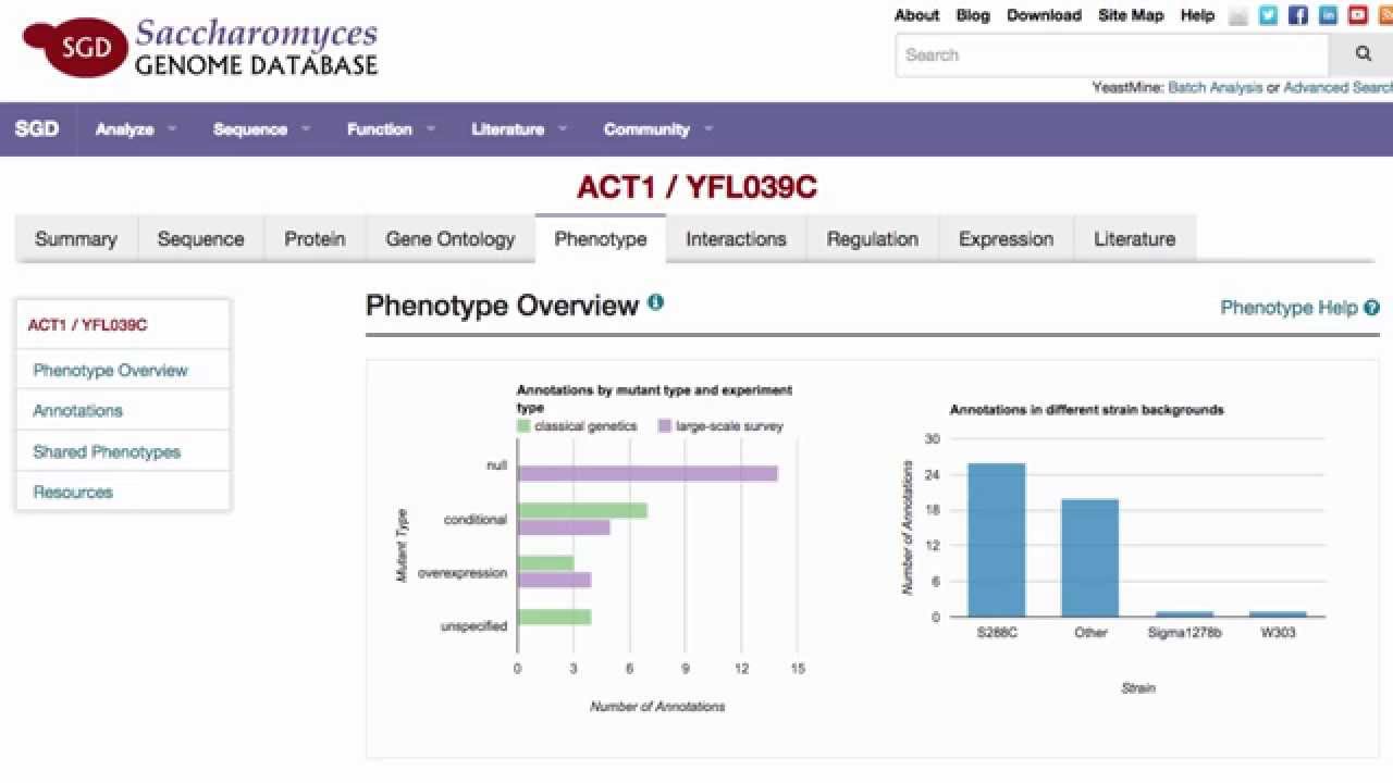 SGD Help: Phenotypes