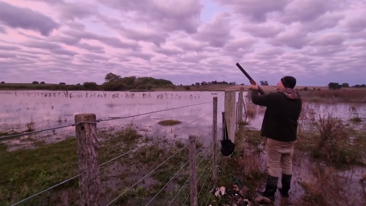 Chasse aux canards en Argentine