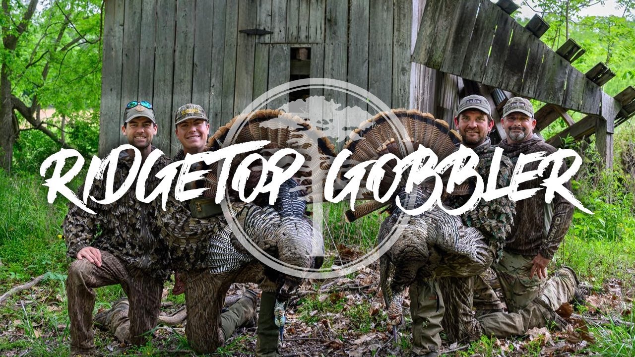 Turkey Hunting- RidgeTop Gobbler (PICTURE Perfect!)