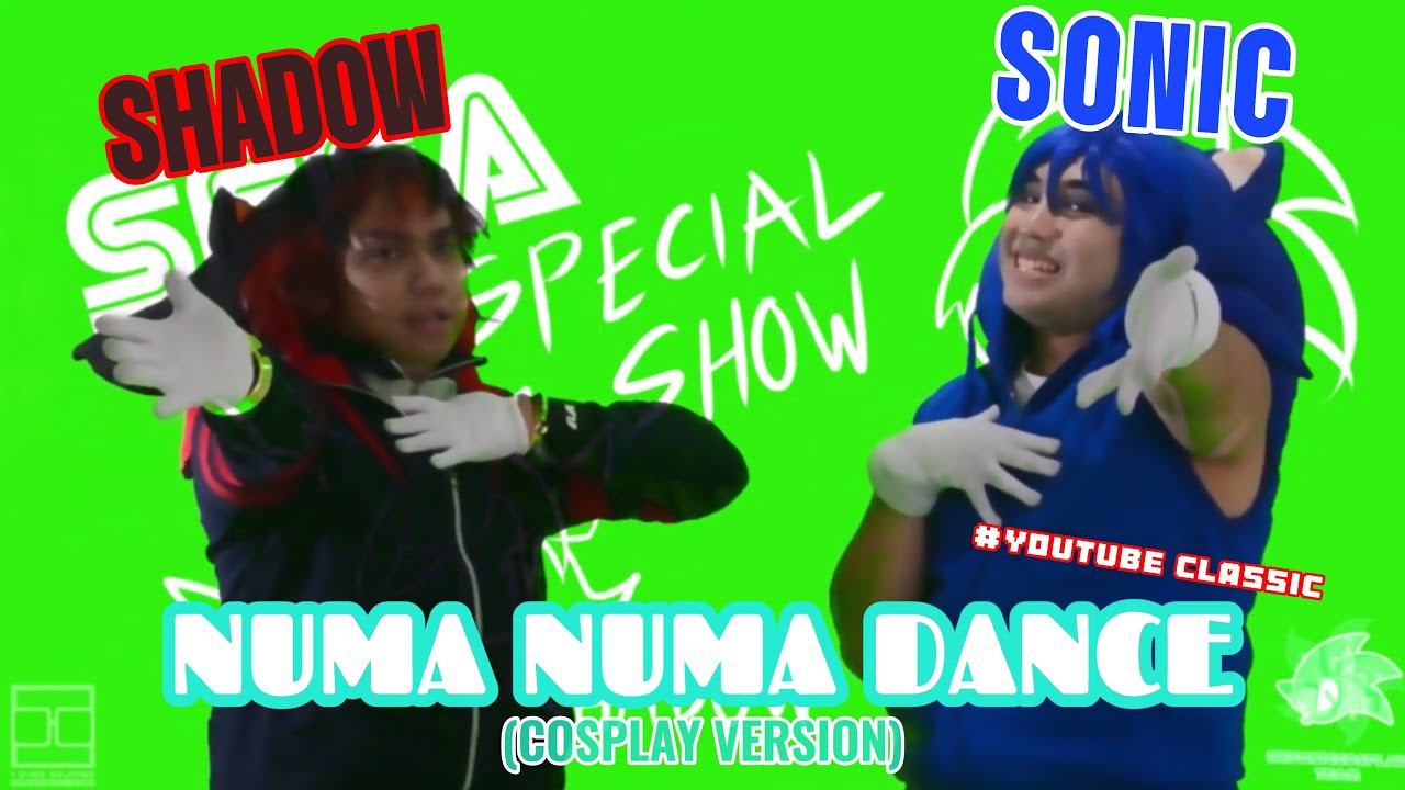 Sonic and Shadow - Numa Numa Dance | Cosplay version