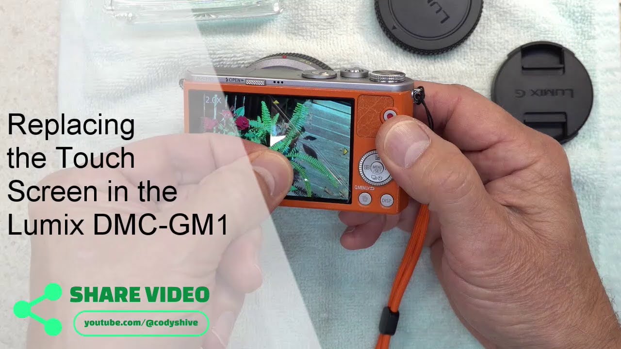 Lumix GM1 Display Replacement
