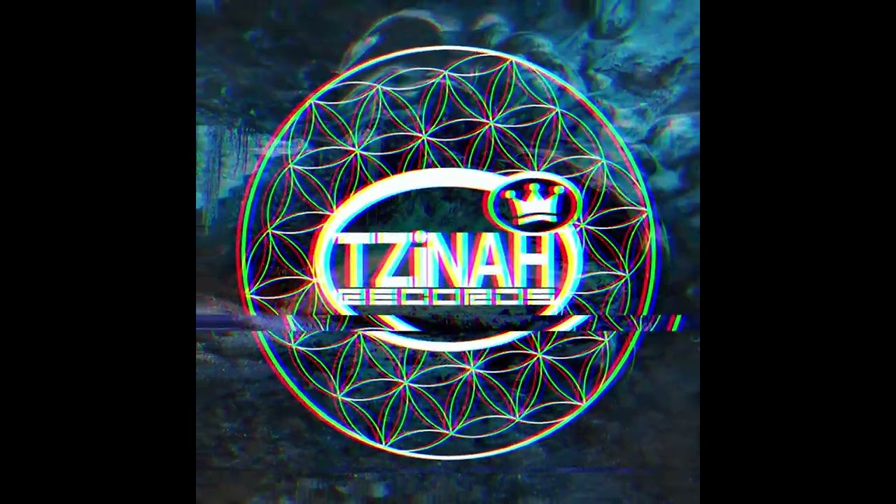 Csurt // Tzinah Podcast // November 2024 //