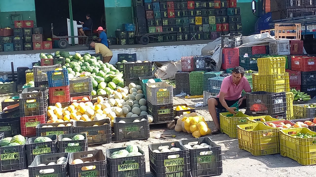 CEASA EM CAMPINA GRANDE-PB MUITA FARTURA E PREÇO BAIXO