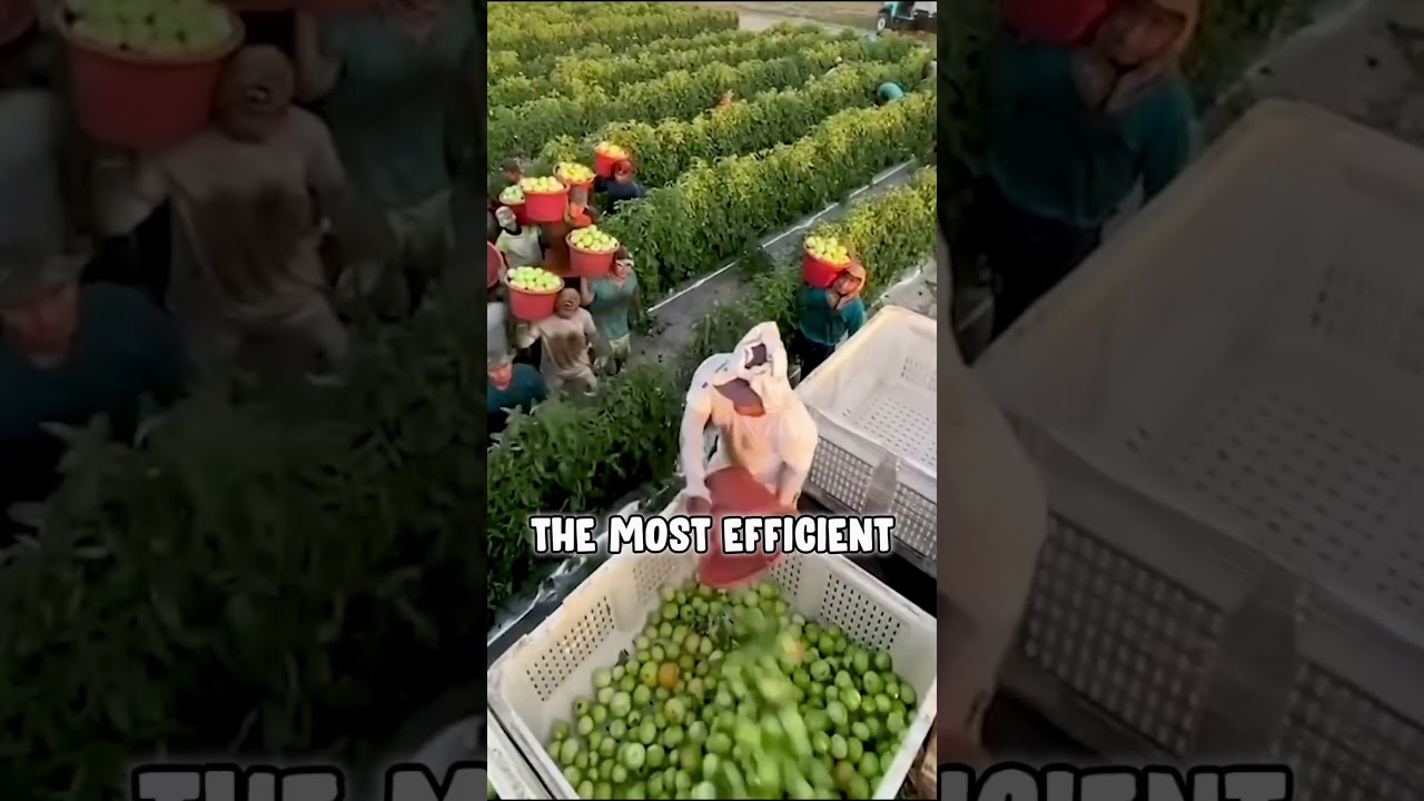 the Best WORKERS in the World!!😨