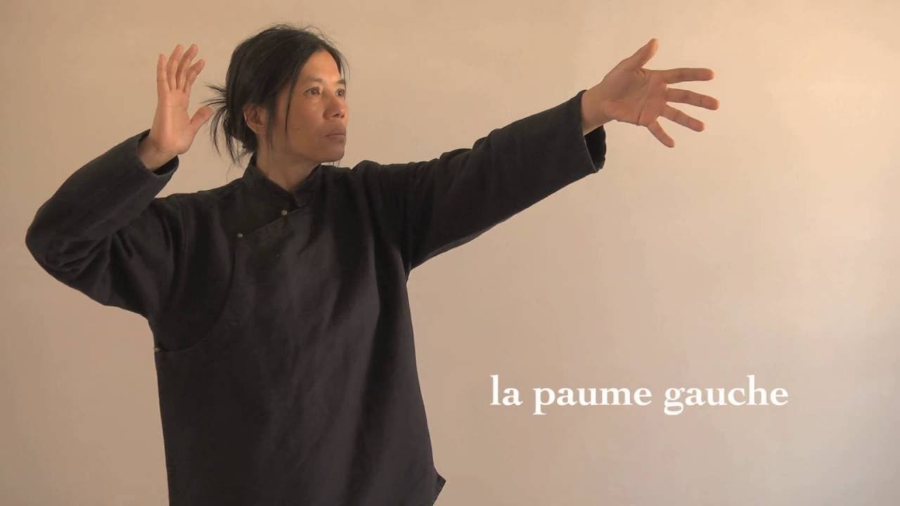 Tai  chi  chuan par  SUONG  NGUYEN  Troisième Duan : Le ciel