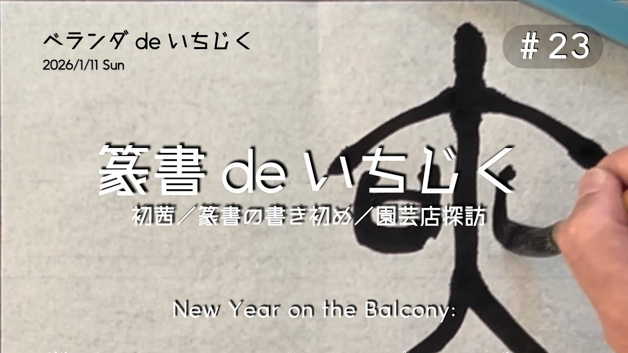 ＃23. 初茜と書き初め／篆書の無花果・正月の園芸店でアガベ