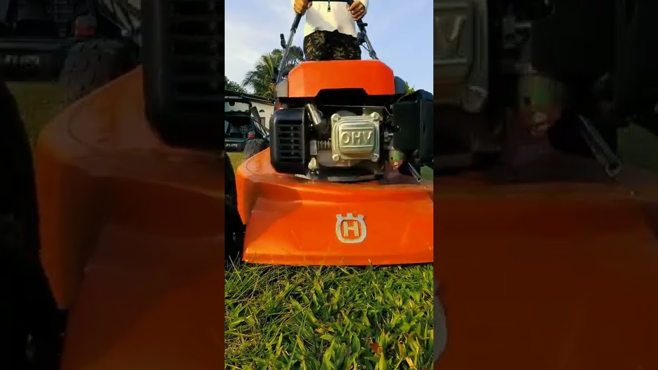 mowing my yard pt2 #lawncare #lawncarebusiness #mowing #mesinrumput #potongrumput #lawnmower
