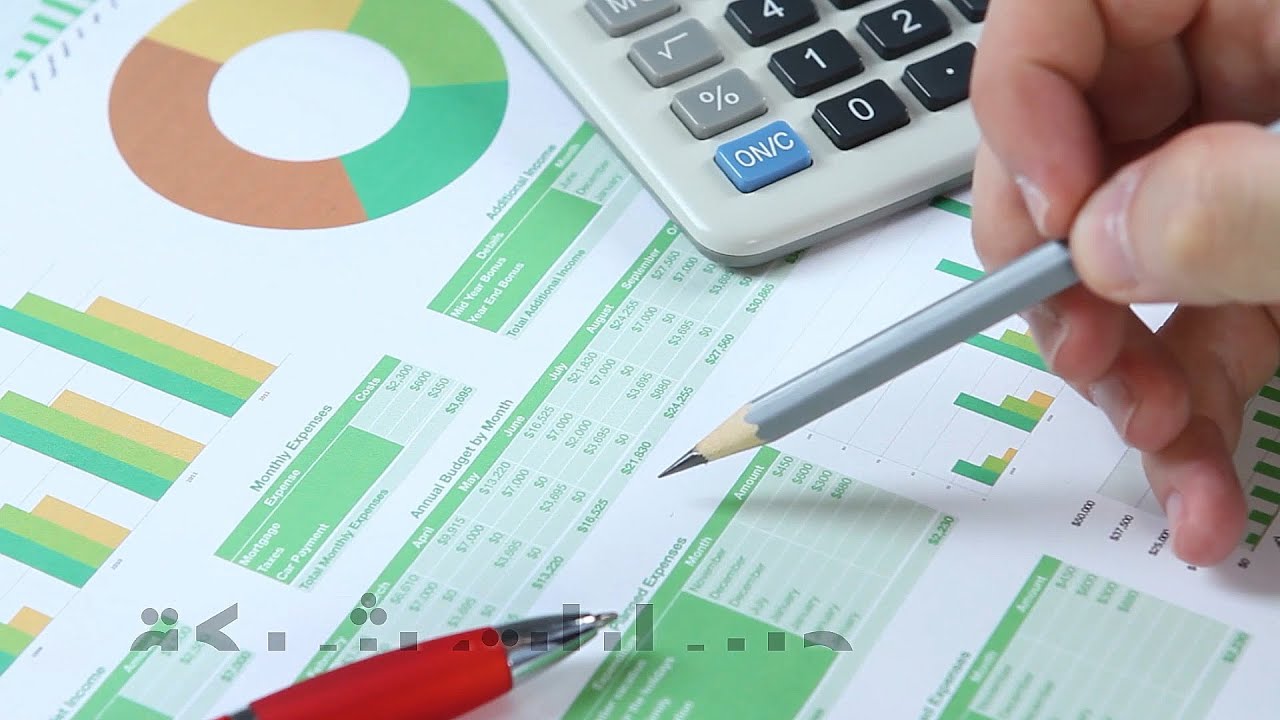 Tax Consultant Promo Video
