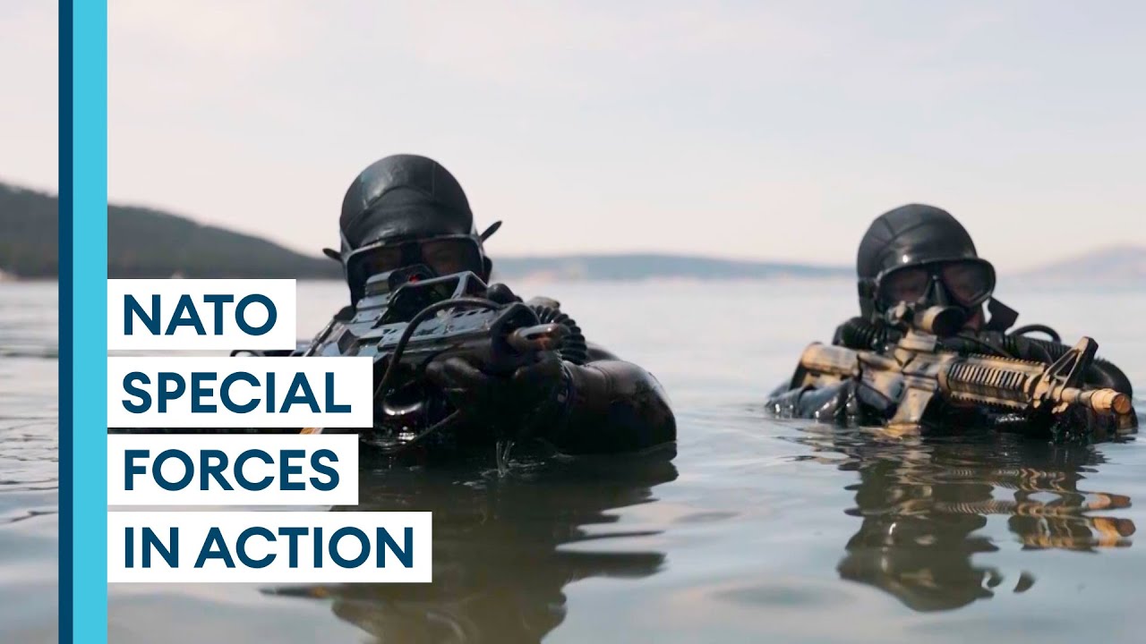 Rare glimpse of US Navy Seals and Croatian Special Forces on joint exercise