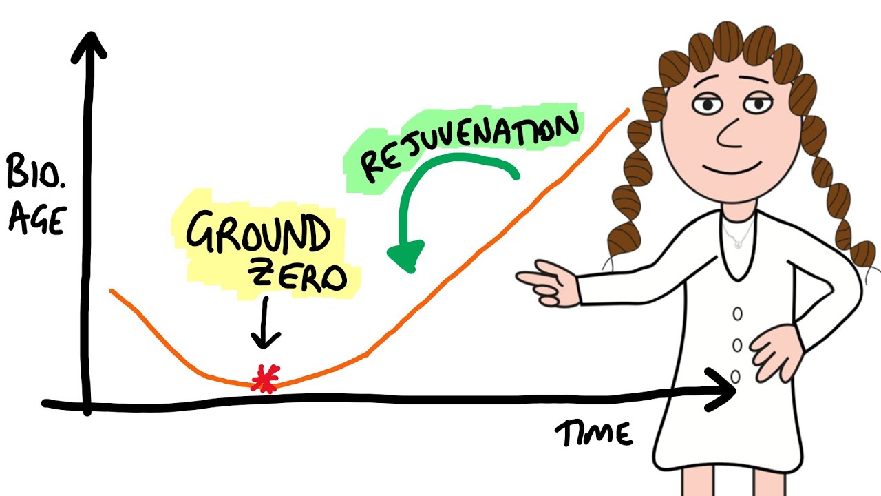 When does aging begin? (and rejuvenation)