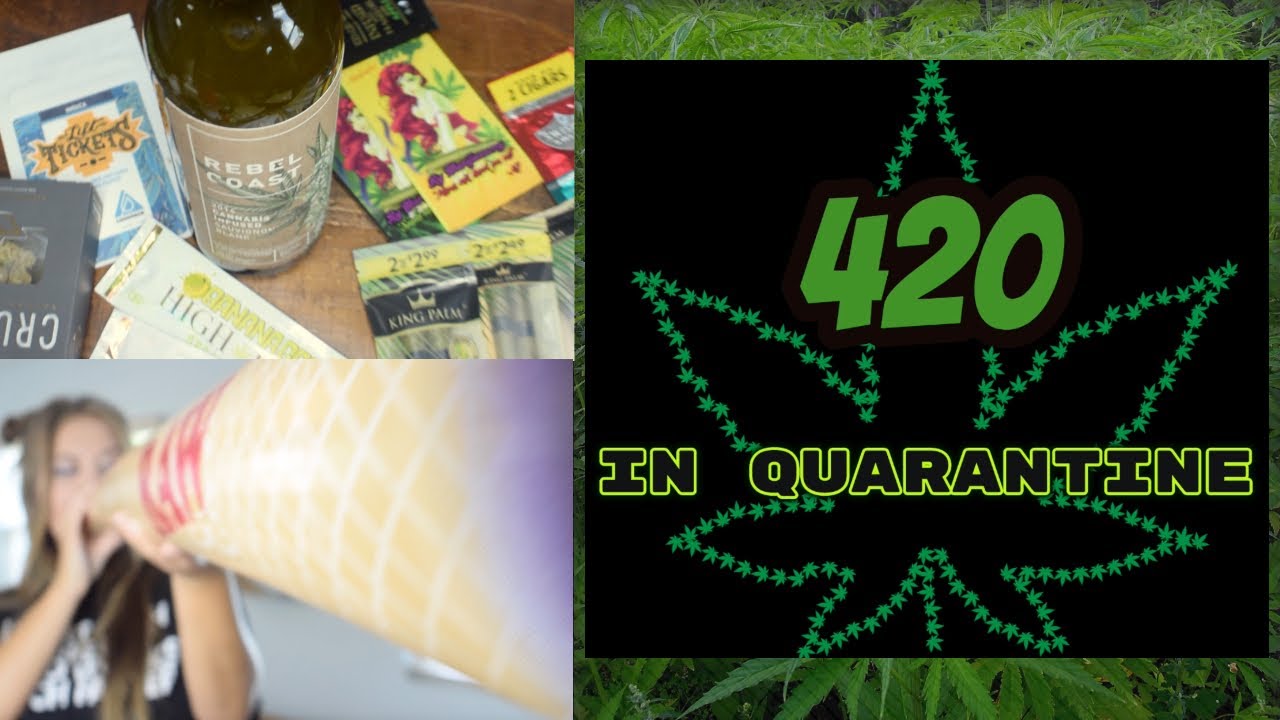 420 In Quarantine/Beyond The Bud