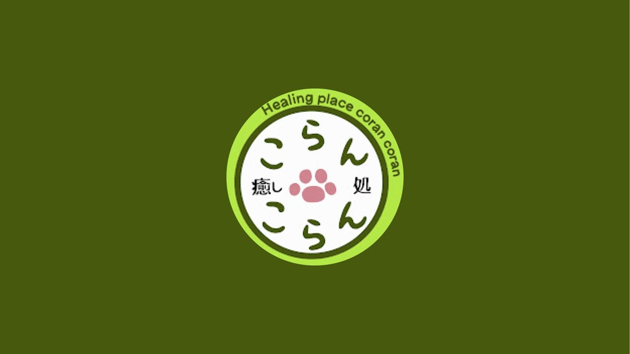 かめおか・京都チャンネル がライブ配信中！