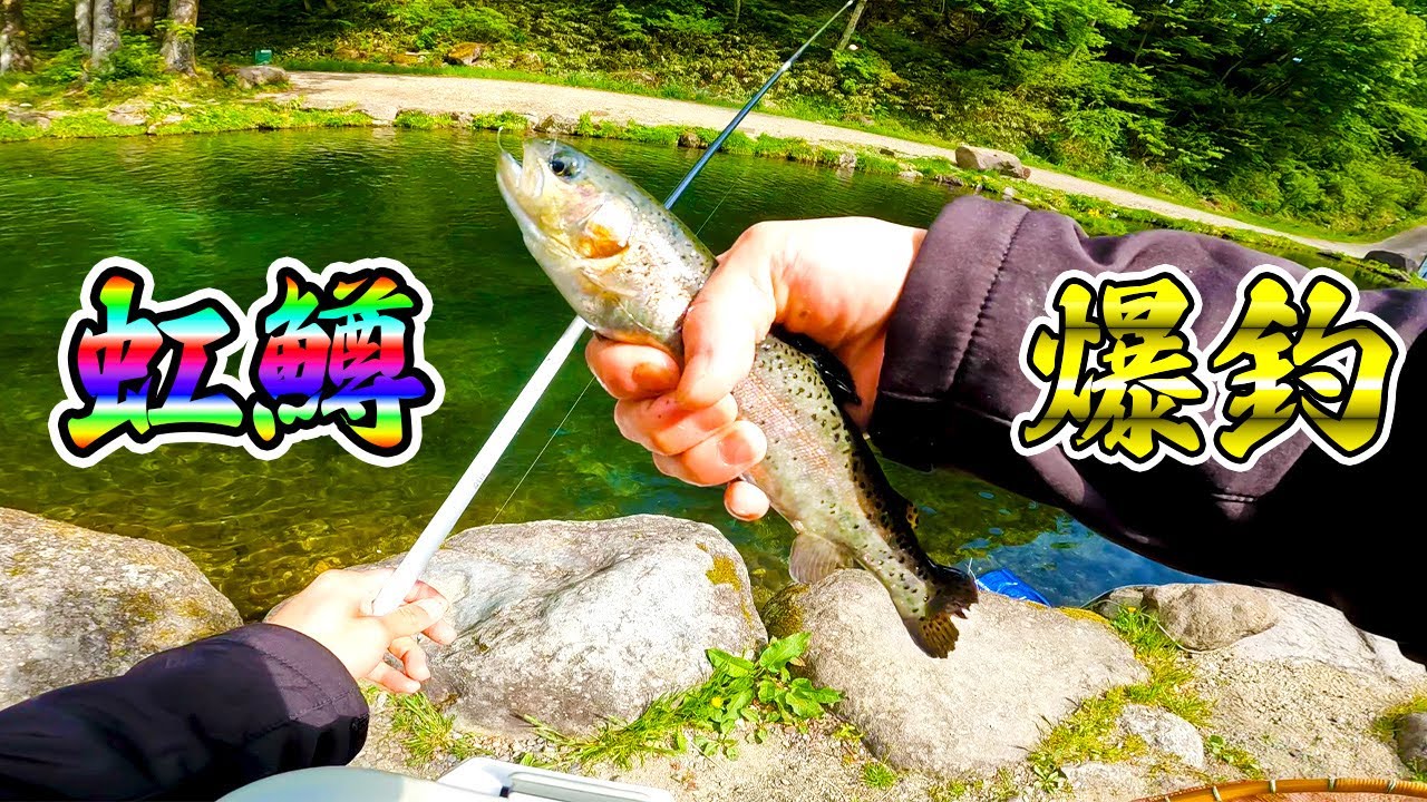 【渓流エサ爆釣】渓流釣り堀に行ったらアタリ過ぎて楽し過ぎた。良型ニジマスを引き抜きまくる！最後はプチハプニングも！？