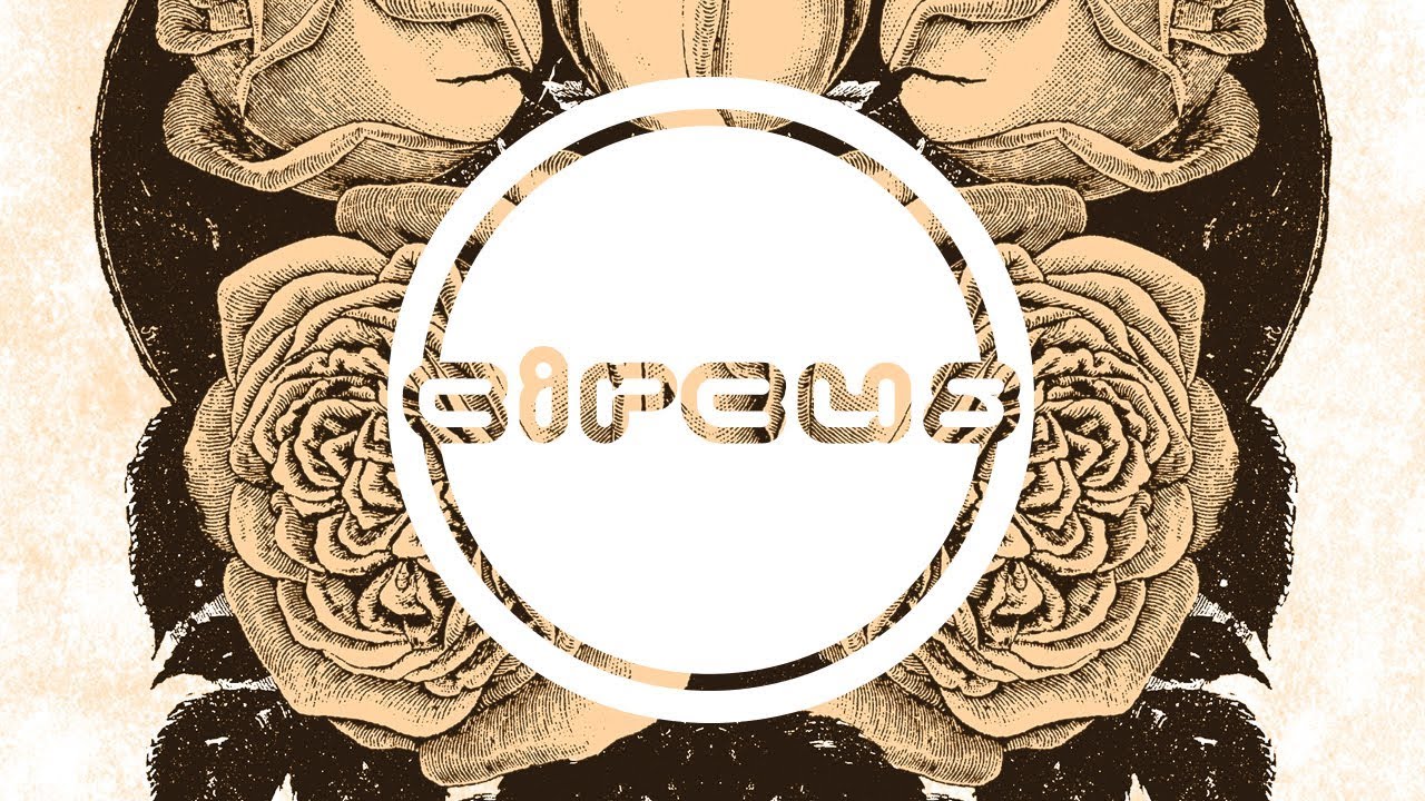 Mark The Beast - Covered In Roses (GLD Remix)