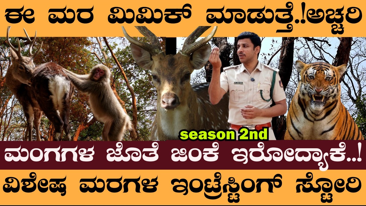 ಮಿಮಿಕ್‌ ಮಾಡೋ ಮರ..! ಮಂಗಗಳ ಜೊತೆ ಜಿಂಕೆಗಳು ಇರೋದ್ಯಾಕೆ.?- Naveen rawath Nagarahole