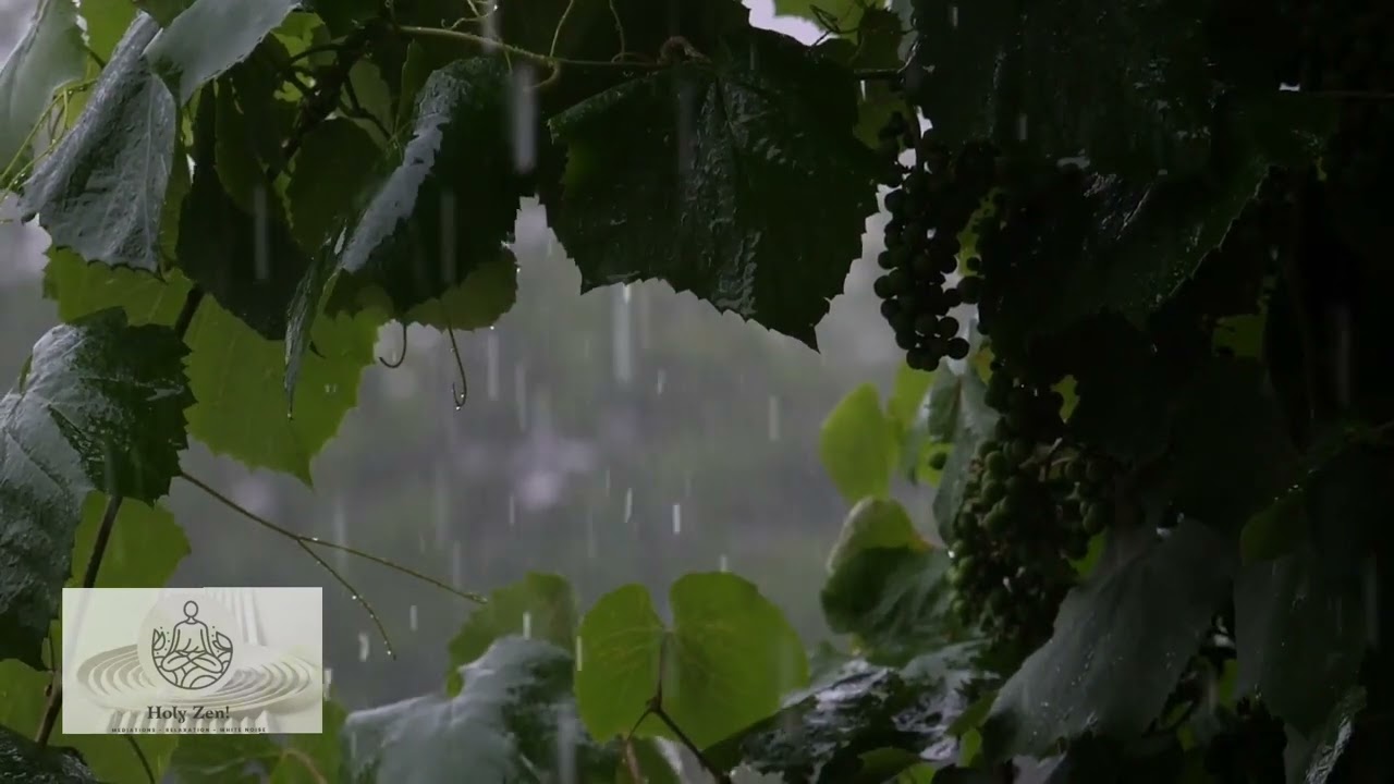 1 Hour of Blissful Meditation With Thich Nhat Hanh | Calm Music | Stress Relieve