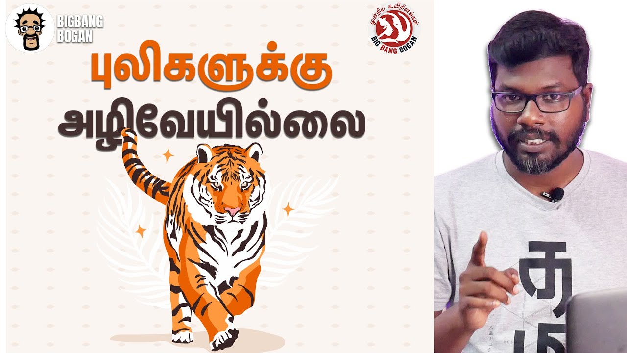 புலிகளுக்கு அழிவேயில்லை | Facts about Tigers|BigBang Bogan