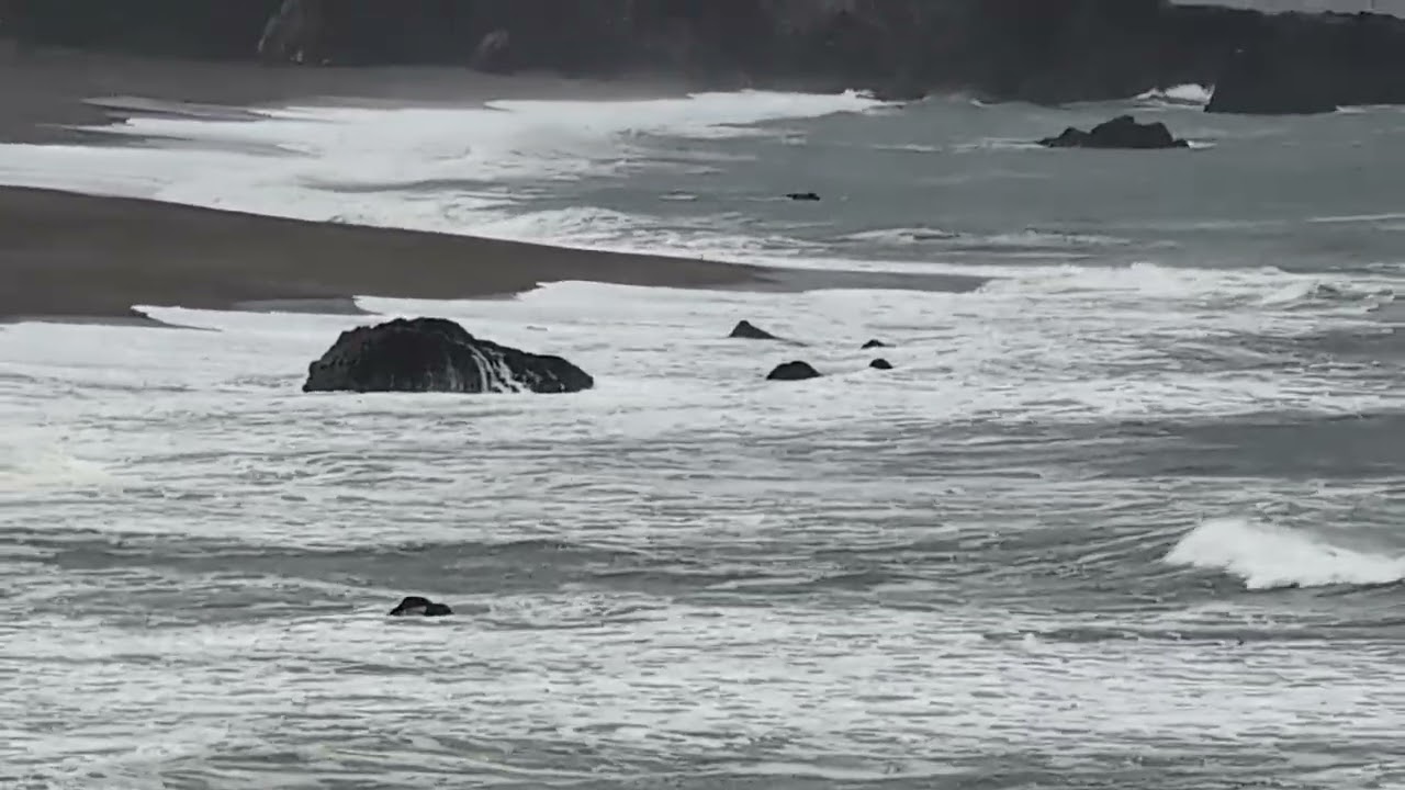 Northern California Beach 