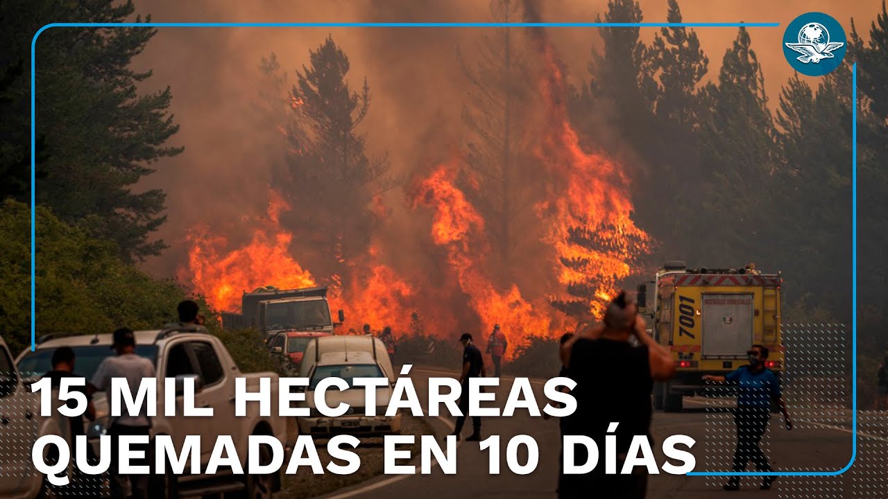 Tragedia en la Patagonia: 50 familias pierden todo tras incendio forestal