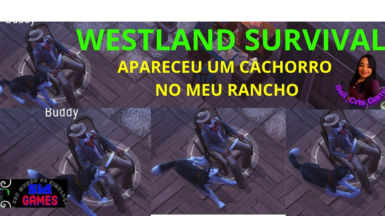 APARECEU UM HUSKY SIBERIANO NO MEU RANCHO: WESTLAND SURVIVAL