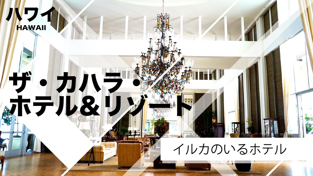 ハワイの今【ザ・カハラ・ホテル＆リゾート】イルカのいる高級リゾートホテルをご紹介。オーシャンフロントルーム、スイートルームやレストラン、ショップ、などホテルの歴史と共に詳しくご案内致します。