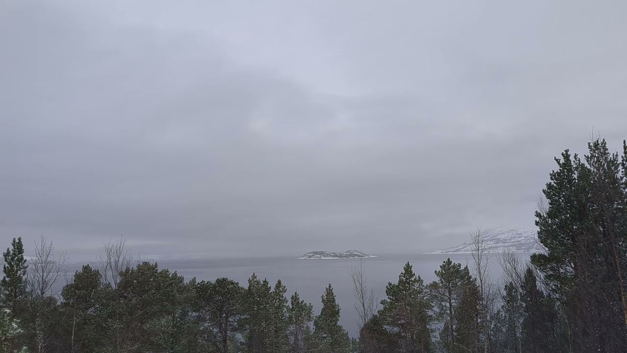 A Nordic view