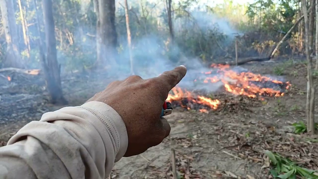 Fui fazer uma missão com o capim seco 